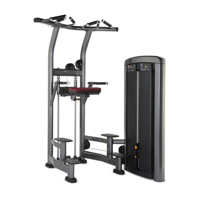 Assist Dip Chin Insignia - Life Fitness