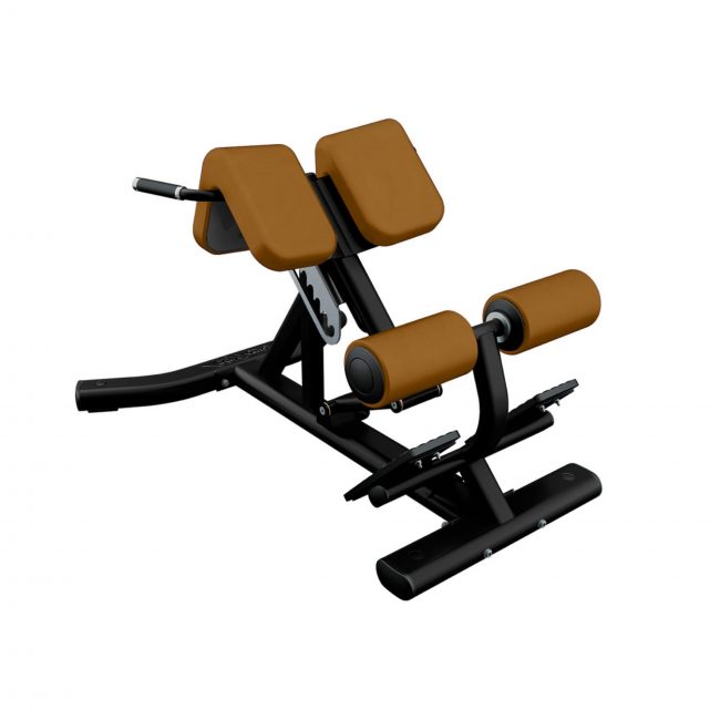 Banc à lombaire - LIFE FITNESS