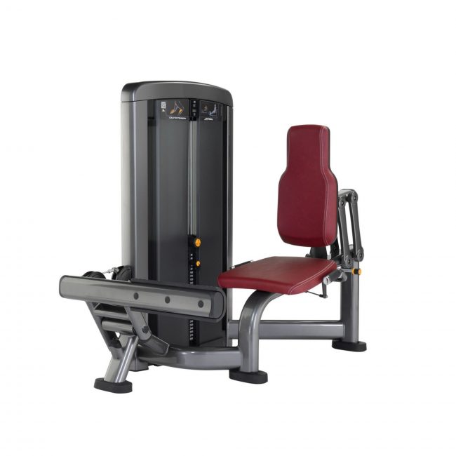 Calf Extension Insignia - Life Fitness