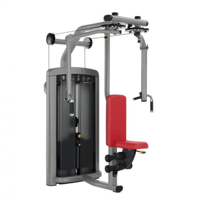 Dual Fly Insignia - Life Fitness