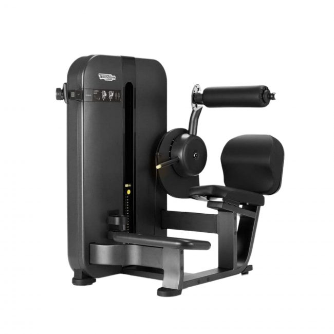 Lower Back Artis - TECHNOGYM