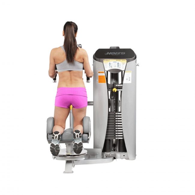 Obliques / Rotary Torso RS-1602 - HOIST – Image 3