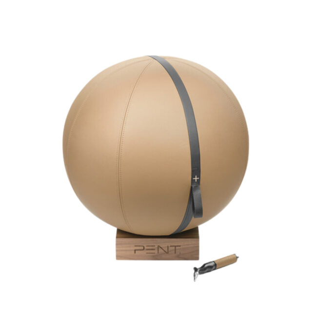Luxury collection Ballon de gym Mesna - PENT