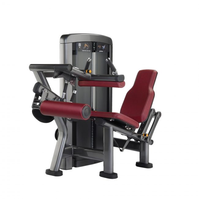 Seated Leg Curl Insignia- Life Fitness