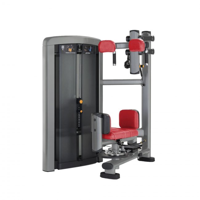 Torso Rotation Insignia - Life Fitness