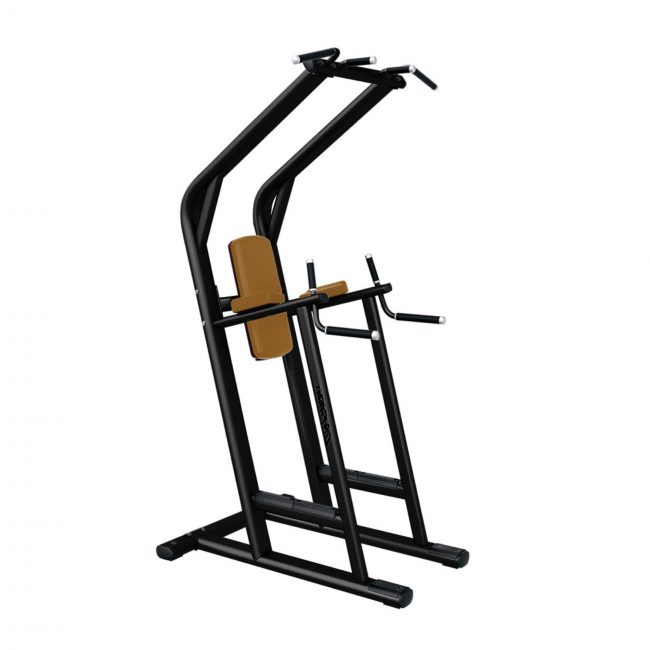 Traction / Dips / Abdominaux - LIFE FITNESS