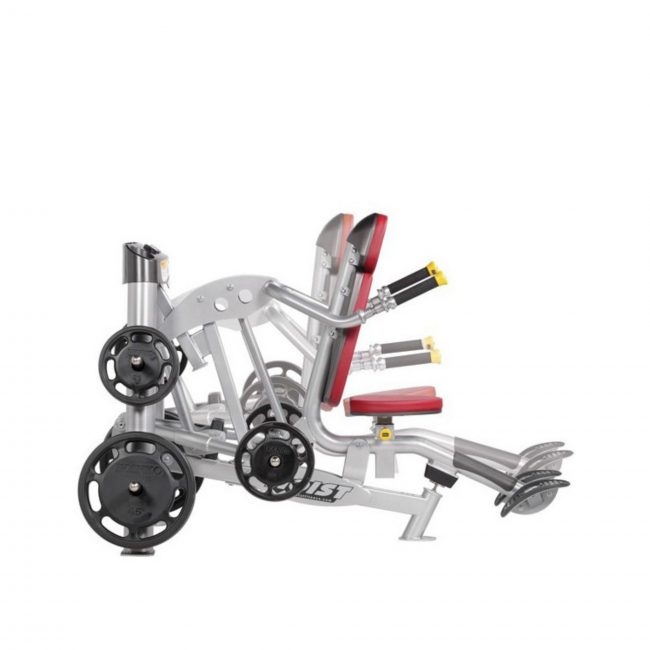 Triceps Assis RPL-5101 – Image 6