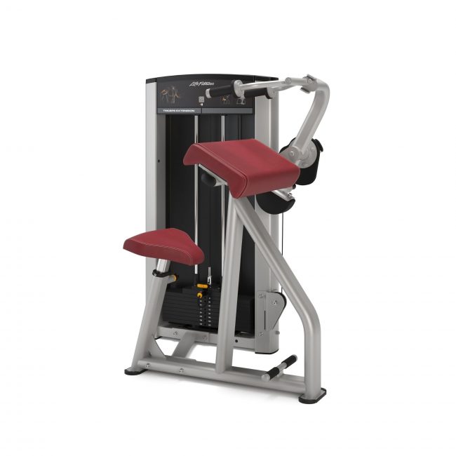 Triceps Extension Axiom - LIFE FITNESS