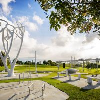 Rings Tree – Image 2