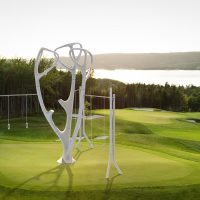 Rings Tree – Image 4