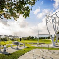 Rings Tree – Image 5